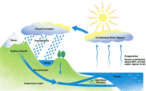 rain cycle